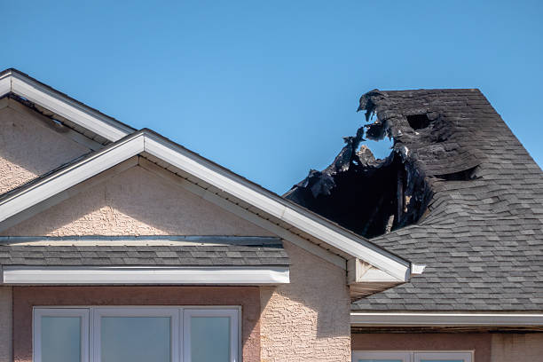 Top rated local Odor Removal specialists in Somerdale, NJ